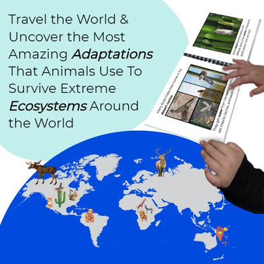 Life Science Ecosystems: Plant and Animal Adaptations + Science Experiments BUNDLE (Printable PDF) - AdaptEd4SpecialEd